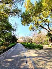 Relaxing Stroll at Zhongshan Park Shanghai