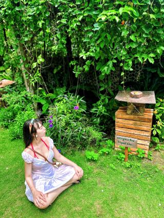 Sweet Escape at Bohol Bee Farm 🍯