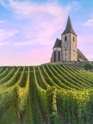 🍇🏰 리크위르: 알자스의 동화 같은 와인 마을