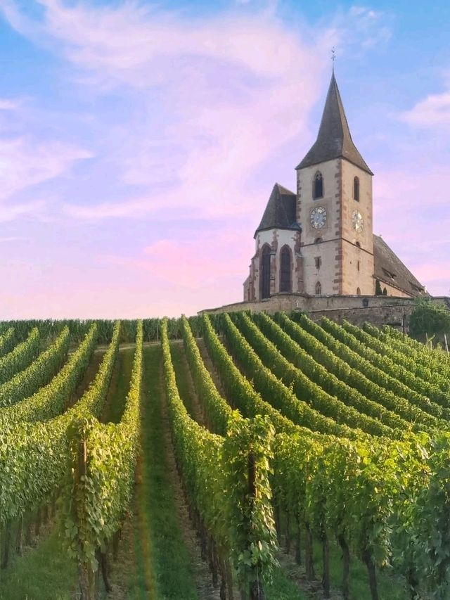 🍇🏰 Riquewihr: Alsace’s Fairy-Tale Wine Village