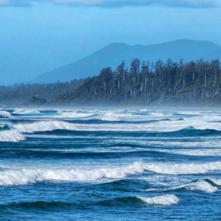 Epic Adventure on Vancouver Island's West Coast Trail