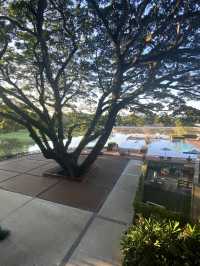 🌳โรงแรม เลอ เมอริเดียน พักผ่อนริมแม่น้ำกก