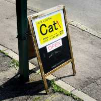 예쁜 고양이가 상주하는 재즈 가득한 쿠시로의 카페, Jazz & Cafe Cat!!