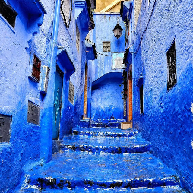 Into the Blue: My Solo Escape to Chefchaouen