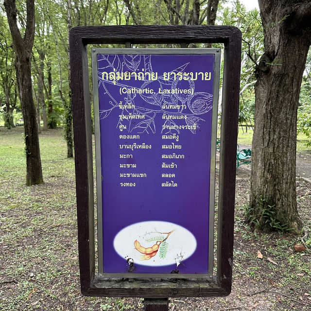 สวนสมุนไพรสมเด็จพระเทพฯ🥬