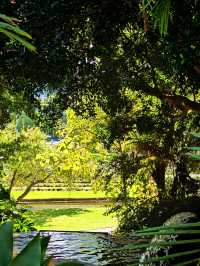 Veale Gardens – Adelaide, Australia