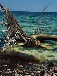 Jasmund National Park – Chalk Cliffs and Ancient Beech Forests