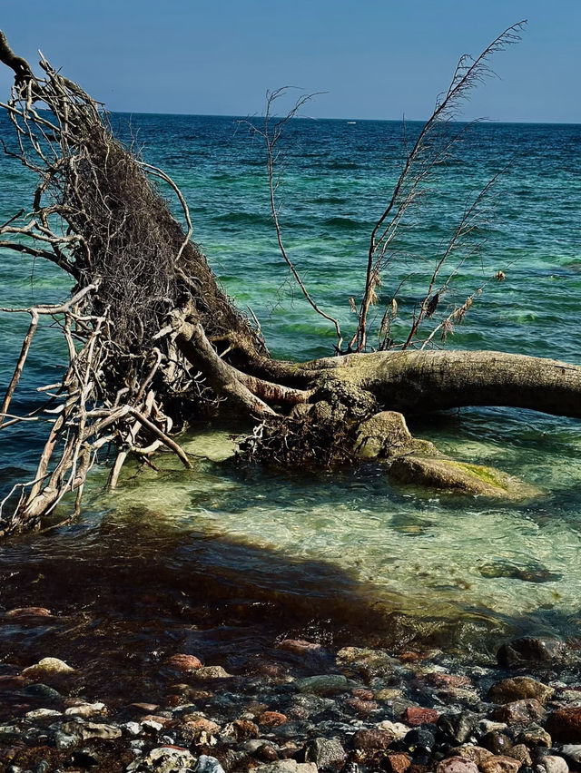 Jasmund National Park – Chalk Cliffs and Ancient Beech Forests