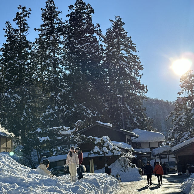 ❄️ ชิราคาวาโกะ หมู่บ้านในฝันกลางหิมะ