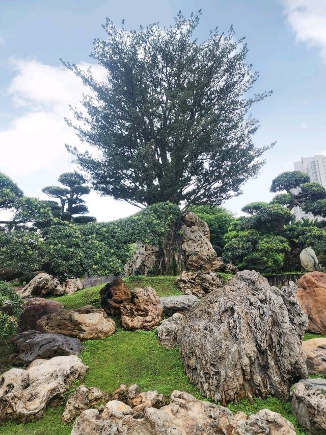 บรรยากาศสุดชิลที่ Nan Lian Garden