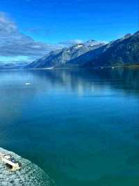 ❄️ Glacier Bay National Park – Alaska’s Frozen Paradise