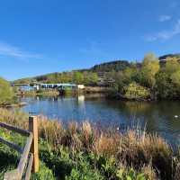 Charming Community Spirit in Clydach Vale, Rhondda Cynon Taff