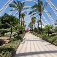 Ciutat de les Arts i les Ciències A Spectacular Modern Landmark in Valencia