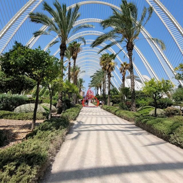 Ciutat de les Arts i les Ciències A Spectacular Modern Landmark in Valencia