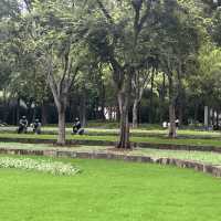 🎨 Jing’an Sculpture Park — Where Art Meets Urban Green