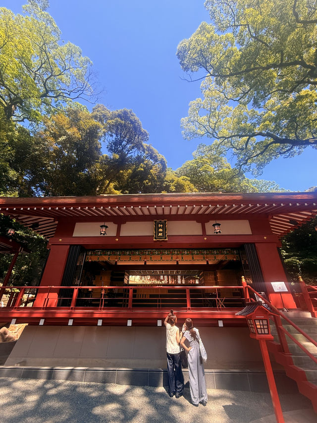 熱海｜隱身在樹林中來宮神社 繞神木一圈能延命一年傳說