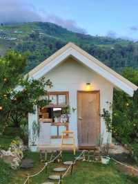 🏡บ้านเล็ก ๆ กลางสวนส้ม ความสุขก็ใหญ่พอแล้ว💛