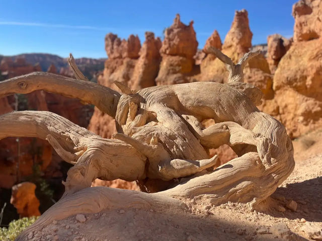 Bryce Canyon National Park