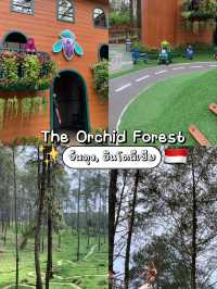 The Orchid Forest Cikole, Bandung 🌲✨