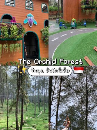 Лес орхидей Чиколе, Бандунг 🌲✨