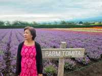 Farm Tomita Hokkaido