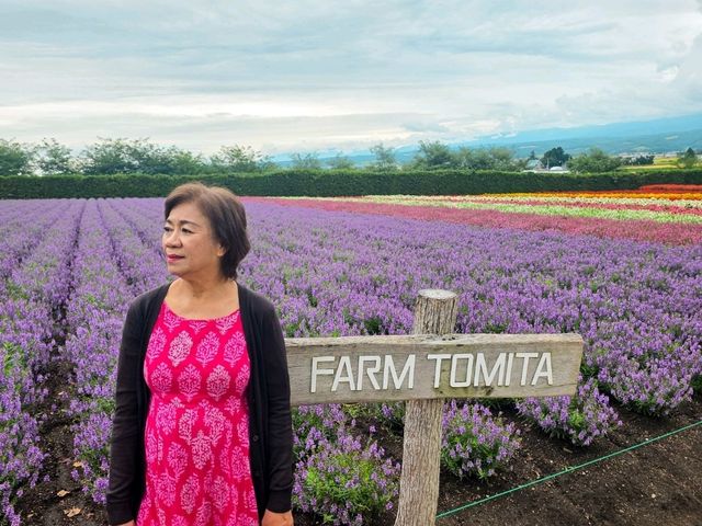 Farm Tomita Hokkaido