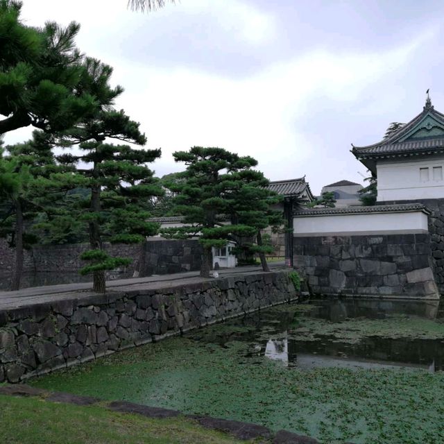 參觀日本天皇的家及皇居週邊