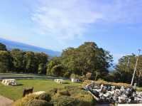 Mount Dandenong Observatory + William Ricketts Sanctuary – A Journey Through Views and Spirit