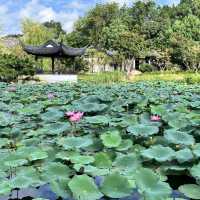 🚶‍♀️ Walking & Boating the Grand Canal (大运河) in Suzhou