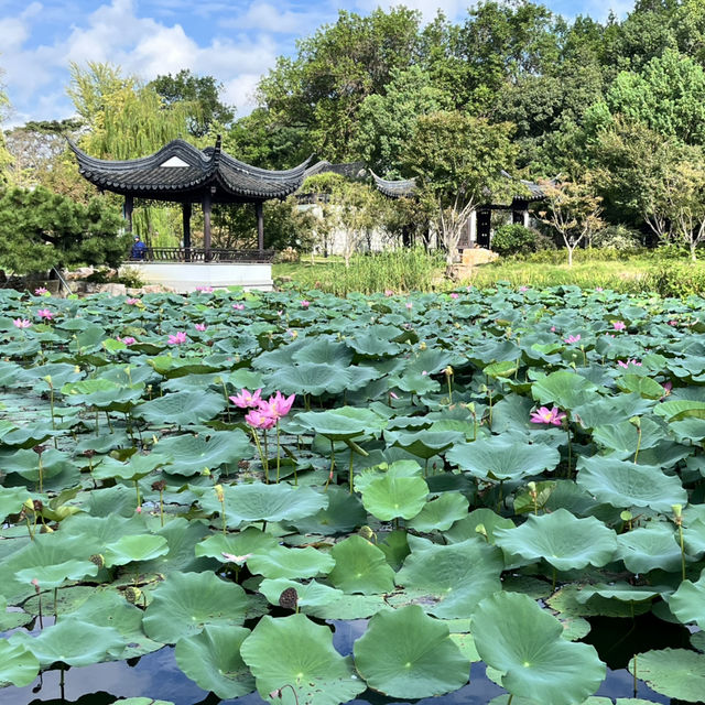 🚶‍♀️ Walking & Boating the Grand Canal (大运河) in Suzhou