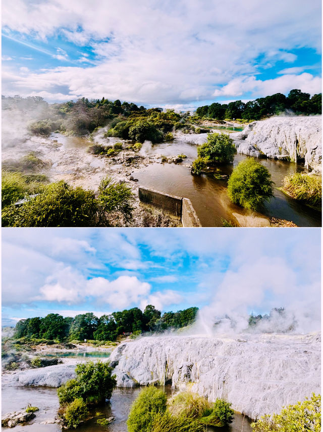 【新西蘭北島】波胡圖間歇泉（Pohutu Geyser）：震撼的自然奇觀，感受地熱的力量