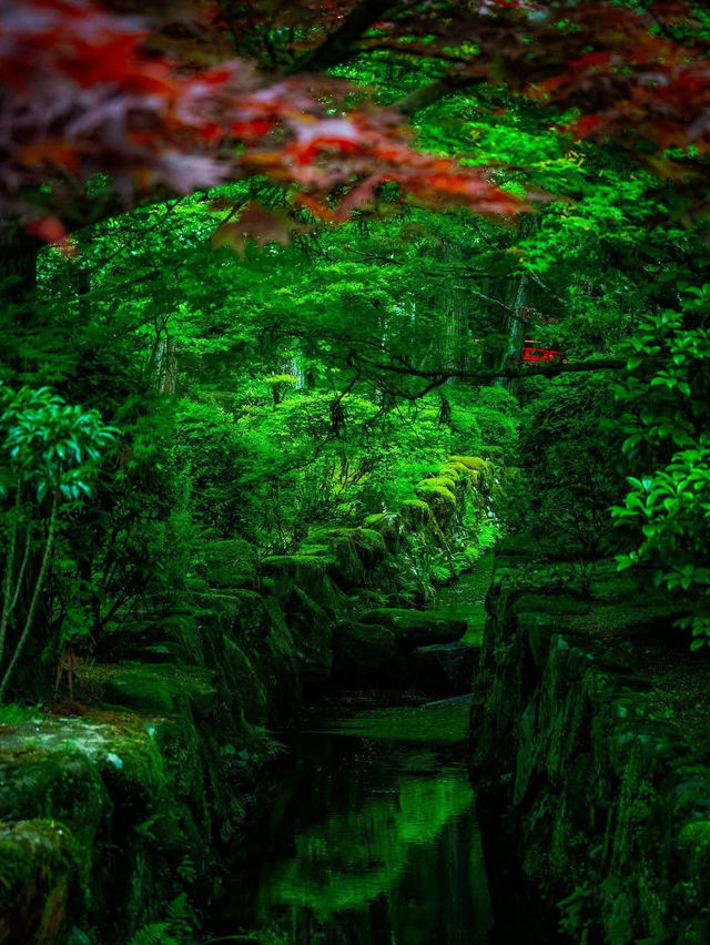 🌿🏯 Reizan-ji Temple – A Green Gem in the Heart of Nara 🌸🌿