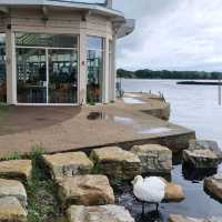 Poole Park