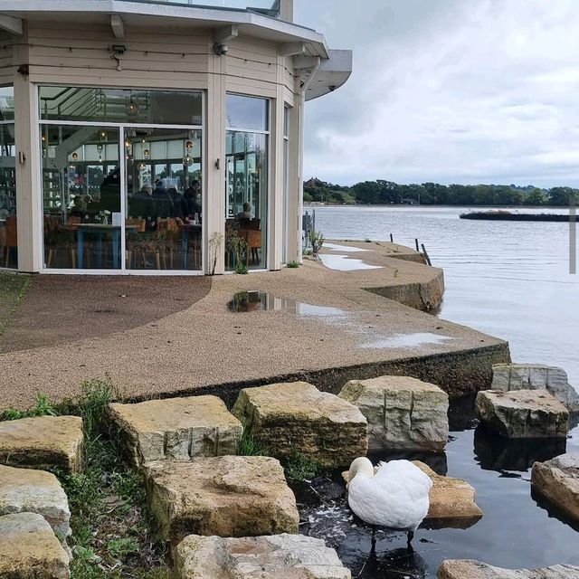 Poole Park