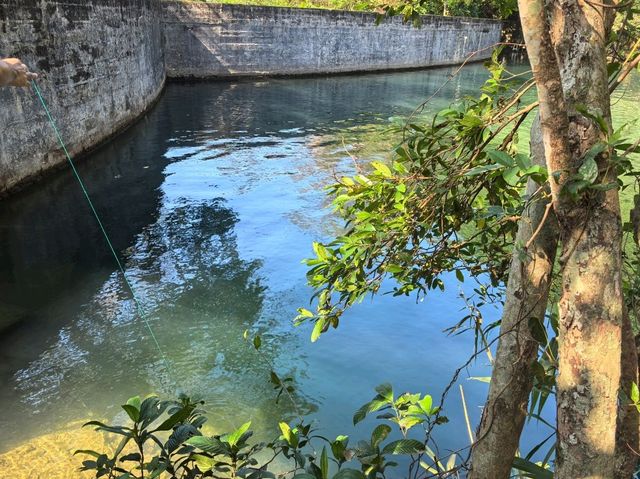 天然湖谷秘境一日遊🌿牛烏水塘＆牛烏石澗