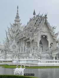 รีวิว วัดร่องขุ่น เชียงราย ศิลปะขาวบริสุทธิ์ที่งาม