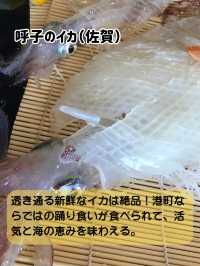 【九州旅行攻略🚗】9日間で九州一周ドライブ旅！