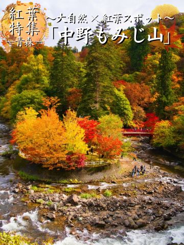 旅行前に見て】観光攻略付‼️紅葉の秘境！🍁🏮✨ライトアップも幻想的