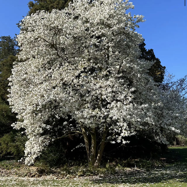 Arboretum Kalmthout