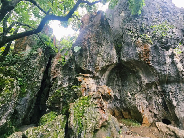Nature's Artistry at Stone Forest Bishuyuan Nature's Artistry at Stone Forest Bishuyuan