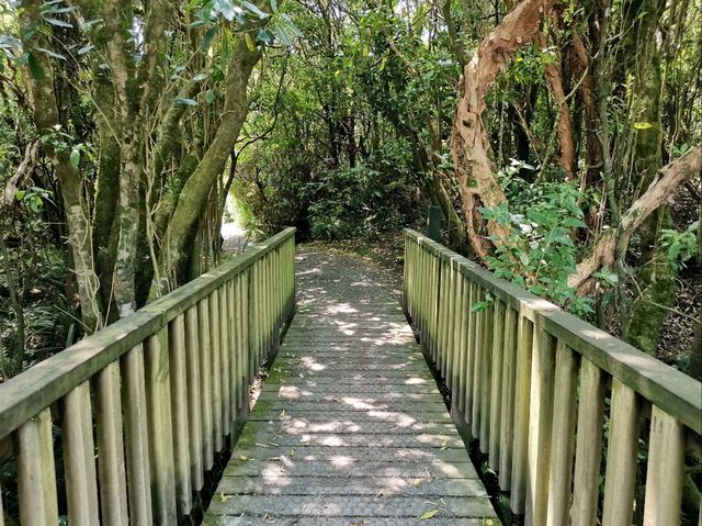 🇳🇿 New Zealand Road Trip - เล่าเรื่องด้วยภาพ#11