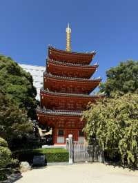 穿越千年!從空海古剎到震撼大佛:福岡東長寺的必訪亮點全攻略