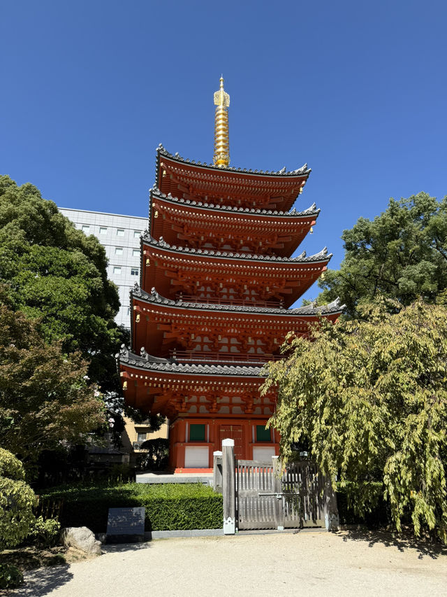 穿越千年!從空海古剎到震撼大佛:福岡東長寺的必訪亮點全攻略 穿越千年!從空海古剎到震撼大佛:福岡東長寺的必訪亮點全攻略