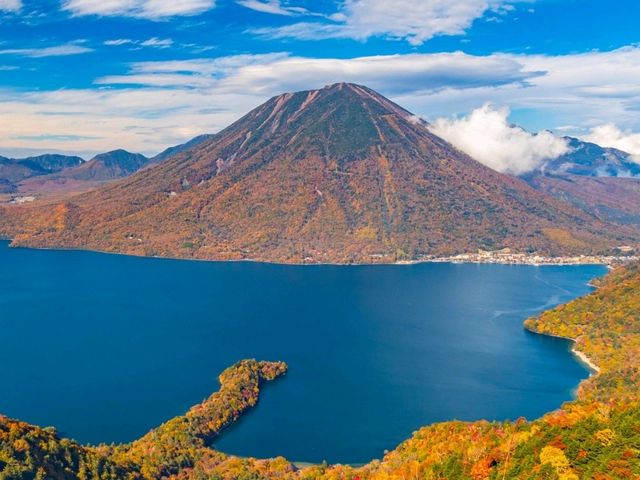 紅葉の定番🍁日本の有名観光スポット