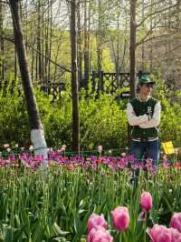 สวนพฤกษศาสตร์ที่สดชื่นที่สุดในหนิงโป 🌳🌸 