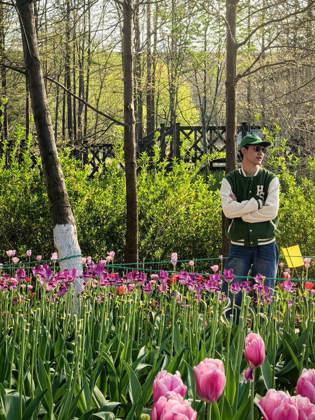 สวนพฤกษศาสตร์ที่สดชื่นที่สุดในหนิงโป 🌳🌸 