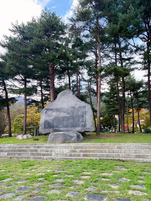 용문산 산책길🌿