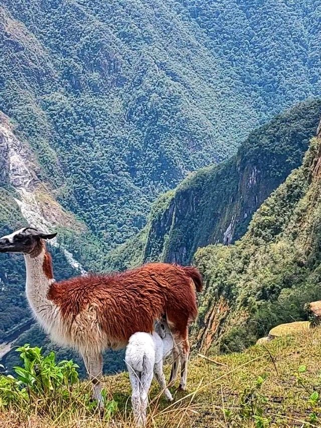 🌅 Inti Punku (Sun Gate) – The Glorious Gateway to Machu Picchu