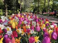 Denver Botanic Gardens