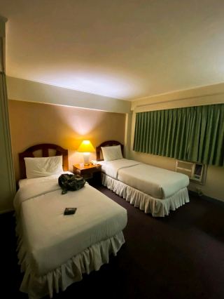 Ready for Manila magic?✨ Adriatico Arms Hotel is the ultimate spot for travelers who want to dive straight into the city’s action—stylish, super clean, and perfectly positioned for exploring everything Manila has to offer. Nestled on Julio Nakpil Street, it’s a stone’s throw from malls, vibrant night clubs, and a smorgasbord of local restaurants. Whether you’re a foodie, culture hunter, or nightlife pro, this hotel is your launchpad for adventure.

Rooms at Adriatico Arms pop with comfort: think spotless interiors, ultra-comfy beds, and high-speed Wi-Fi—ideal for both work and play. Staff are super friendly and go out of their way to make guests feel at home, with a welcome that feels genuine. The charming inhouse café is perfect for sipping coffee and watching the city flow by, although—insider warning—be ready for breakfast crowds as locals love this spot too!

For your best Manila moments:
1. Insta-Worthy Café Corner: Grab morning shots in the rustic café—natural light, latte art, and lively city views make killer content.
2. Rooftop Vibes: Sneak up just before sunset for golden hour cityscape photos—urban Manila never looked better.
3. Nightlife Circuit: Stroll to Remedios Circle after dark—pop into local bars and clubs for vibrant street life shots and social reels.

Book directly on trip.com for the best rates and options, and consider reserving your breakfast table early to skip the line. Use the hotel’s fast Wi-Fi to plot your day: mall shopping, sunset walks along Manila Bay, or bar crawling through Malate.

#Manila #CityHotel #TravelTips #CafeCulture #ManilaByNight